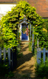 An  enchanting  approach  to  the  front  door.