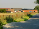 Hall  Farm  buildings, from  Canney  Road.