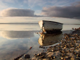 Beached , by  an  ebbing  tide.