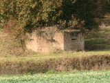 WW2  pillbox, under  the  shade  of  a  tall  tree.