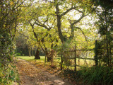 Garden  entrance