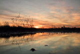 This  mornings  sunrise  reflected  in  a  puddle.