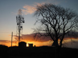 Radio Relay Station and tree at sunrise
