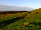 Burnswark : The  Roman  Camp  on  the  southern  slopes.