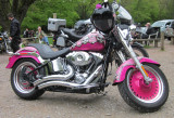 Harley - Davidson  customised.