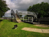 Lady , my Border  Collie , posing  beside  footbridge  over  East  Lock.