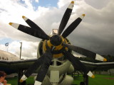 A  Fairey  Gannet