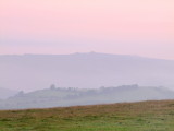 Dawn  in  the  Stretton  Hills.