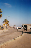 venice beach