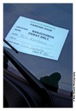 Hardly Strictly Parking Pass