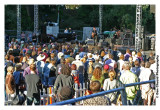 Audience For Richard Thompson