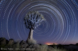 Morse code star trail with painted tree
