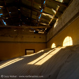 Kolmanskopp