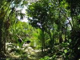 Kukulkan Cenote 1