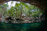 Chac Mool Cenote split level