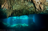 Eden Cenote stalactites