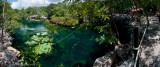 Eden Cenote view from the top
