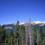 The Beauty of Rocky Mountain National Park Captured on Film