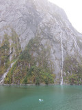 IMG_0739.JPG