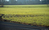 D3-010611-735.jpg