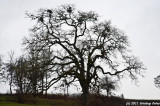 D3-030311-019.jpg