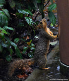 Curious Little Tyke
