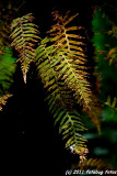 D3-050211-078.jpg
