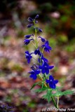 D3-050211-101.jpg