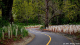 D3-050211-143.jpg