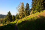 D700-051911-043 (Small).JPG