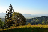 D700-051911-093 (Small).JPG