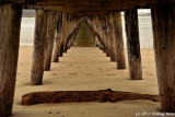 D3-042511-167.JPG