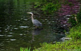 D7000-060311-035.jpg