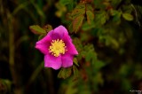 D3-060611-201.JPG