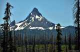 Mt Washington