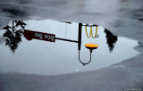 Reflection in a Puddle