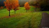 A Very Pleasant Path