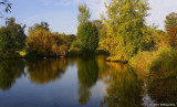 Pond In Alton Baker Park