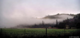 Fog in the Mohawk Valley