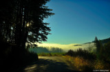 In the Coburg Hills
