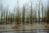 D3-011912-090.JPG