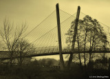 The Bridge