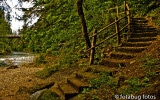 Stairway to Paradise
