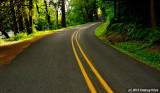 Curve in the Road