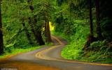 A Curve in the Road