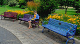 Brevyn at Alton Baker Park