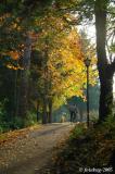 Bike rider on park path