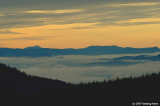 D2x2007-12-14_037.jpg