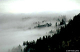 D2x2007-12-14_049.jpg