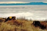 D2x2007-12-14_082.jpg